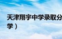 天津翔宇中学录取分数线2023（天津翔宇中学）