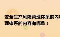 安全生产风险管理体系的内容有哪些要求（安全生产风险管理体系的内容有哪些）