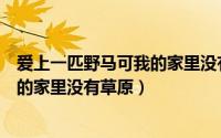 爱上一匹野马可我的家里没有草原举牌（爱上一匹野马可我的家里没有草原）