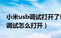 小米usb调试打开了也连不上电脑（小米usb调试怎么打开）