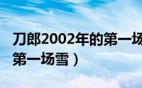 刀郎2002年的第一场雪歌词（刀郎2002年的第一场雪）