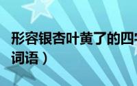 形容银杏叶黄了的四字词语（形容银杏叶黄的词语）