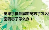 苹果手机锁屏密码忘了怎么办不想抹除数据（苹果手机锁屏密码忘了怎么办）