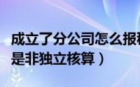 成立了分公司怎么报税（分公司是独立核算还是非独立核算）