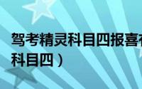 驾考精灵科目四报喜有什么奖金吗（驾考精灵科目四）