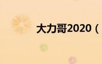 大力哥2020（大力哥完整版）