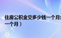 住房公积金交多少钱一个月合适（住房公积金一般交多少钱一个月）