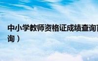 中小学教师资格证成绩查询官网（中小学教师资格证成绩查询）