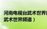 河南电视台武术世界频道节目表（河南电视台武术世界频道）