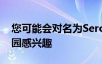 您可能会对名为SeroOne的新型水培室内花园感兴趣