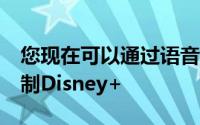 您现在可以通过语音在谷歌e智能显示屏上控制Disney+