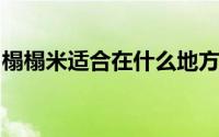 榻榻米适合在什么地方使用它又有哪些优缺点