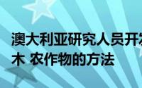 澳大利亚研究人员开发出种植抗气候变化的树木 农作物的方法