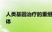 人类基因治疗的重组 新的和改进的腺病毒载体