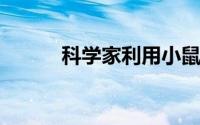 科学家利用小鼠干细胞创造内耳