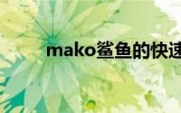 mako鲨鱼的快速秘密 海洋的猎豹