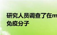 研究人员调查了在mycetoma病变内发现的免疫分子