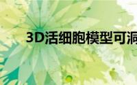 3D活细胞模型可洞悉骨骼疾病和再生