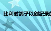 比利时鸽子以创纪录的125万欧元拍卖高涨