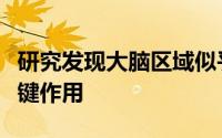 研究发现大脑区域似乎在支持液体智力中起关键作用