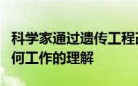 科学家通过遗传工程改造酵母以提高对细胞如何工作的理解