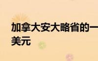 加拿大安大略省的一个空置街区标价99,000美元